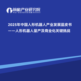 2025年中国人形机器人产业发展蓝皮书——人形机器人量产及商业化关键挑战