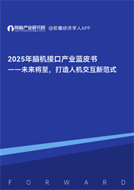 2025脑机接口蓝皮书